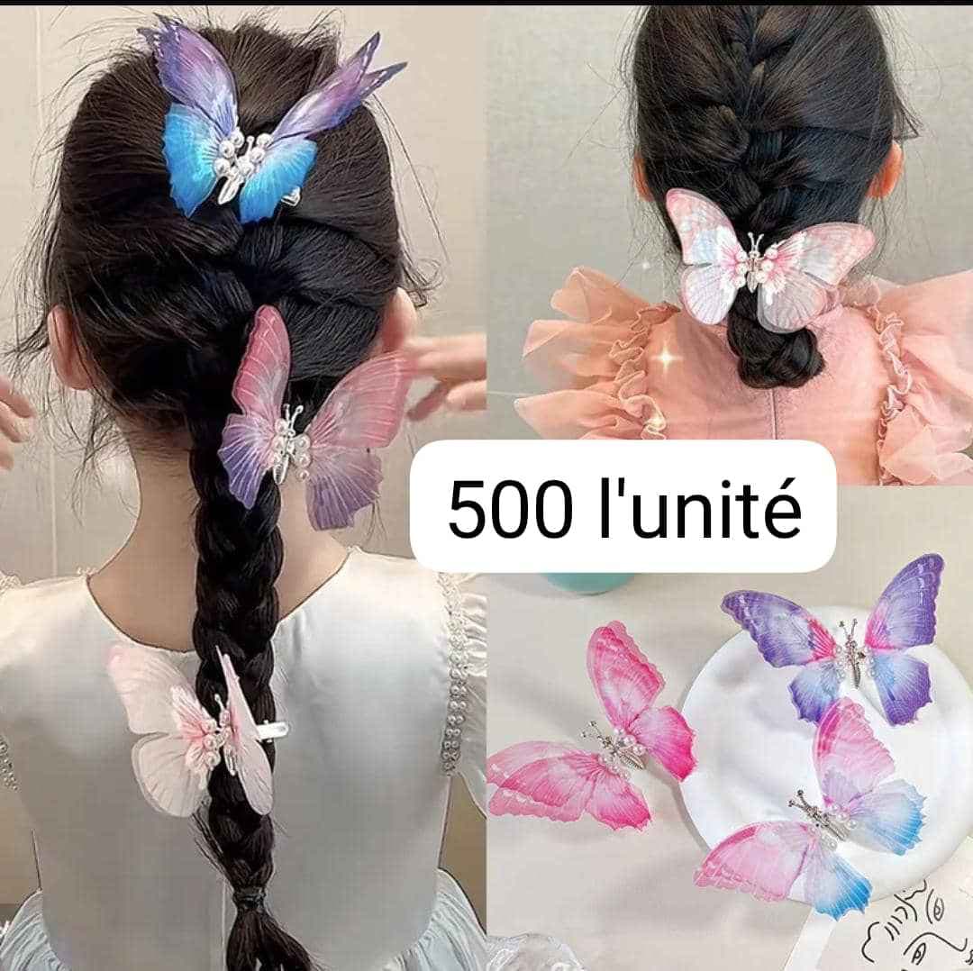Épingles Papillon Colorées