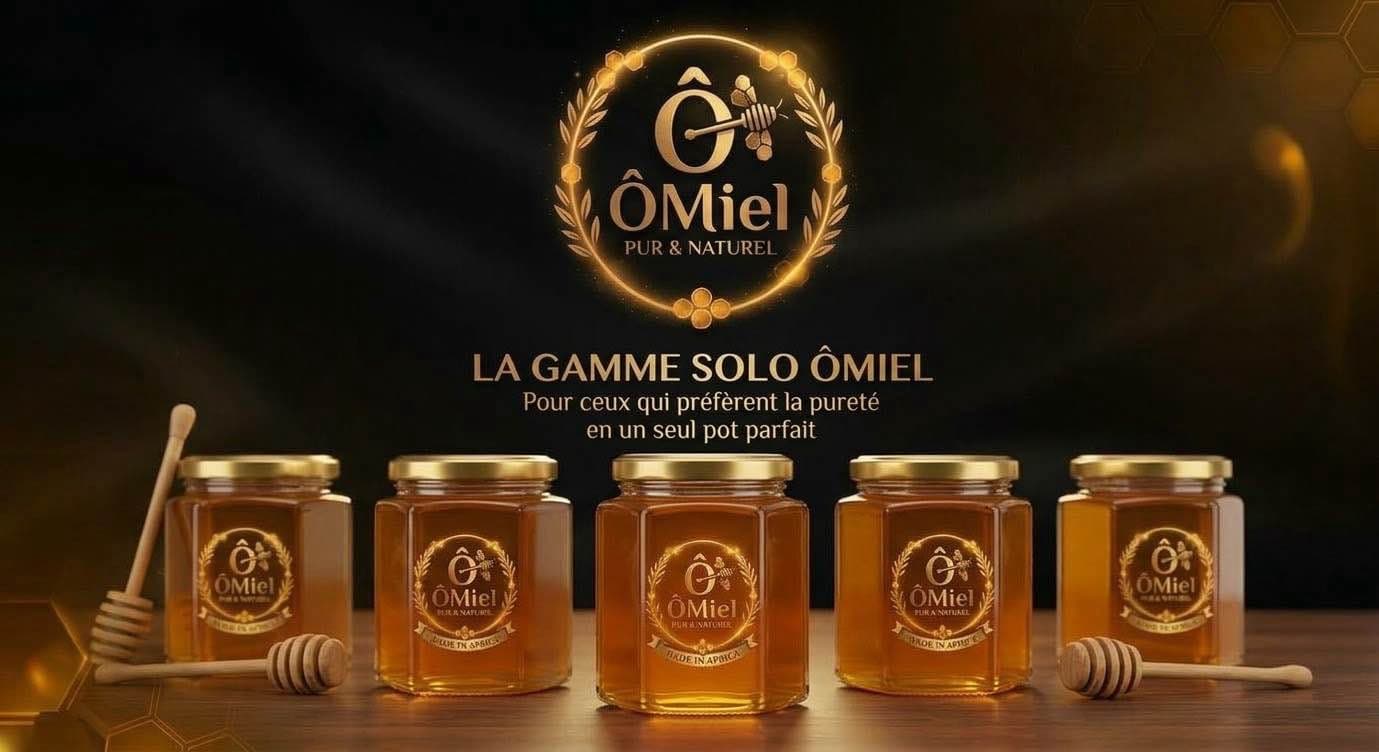 PACK SOLO — L'Expérience Découverte