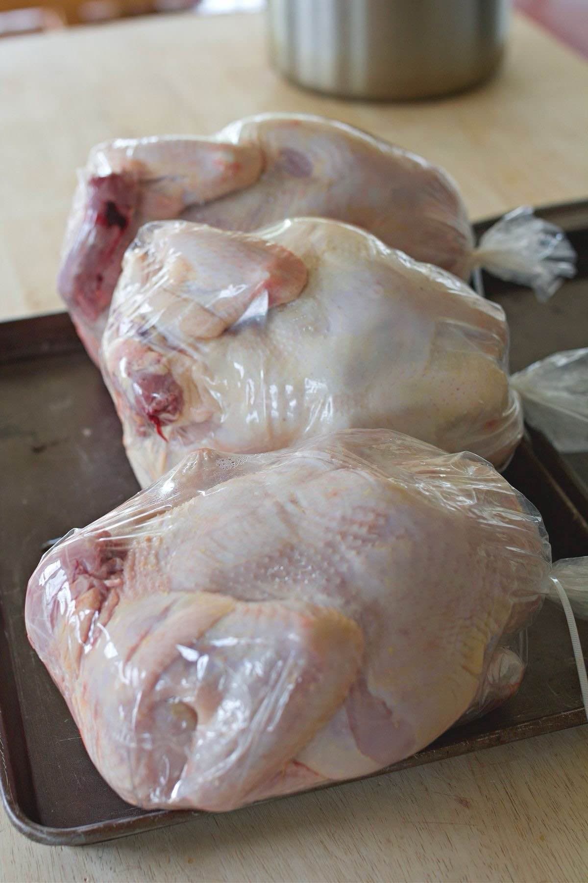 poulet