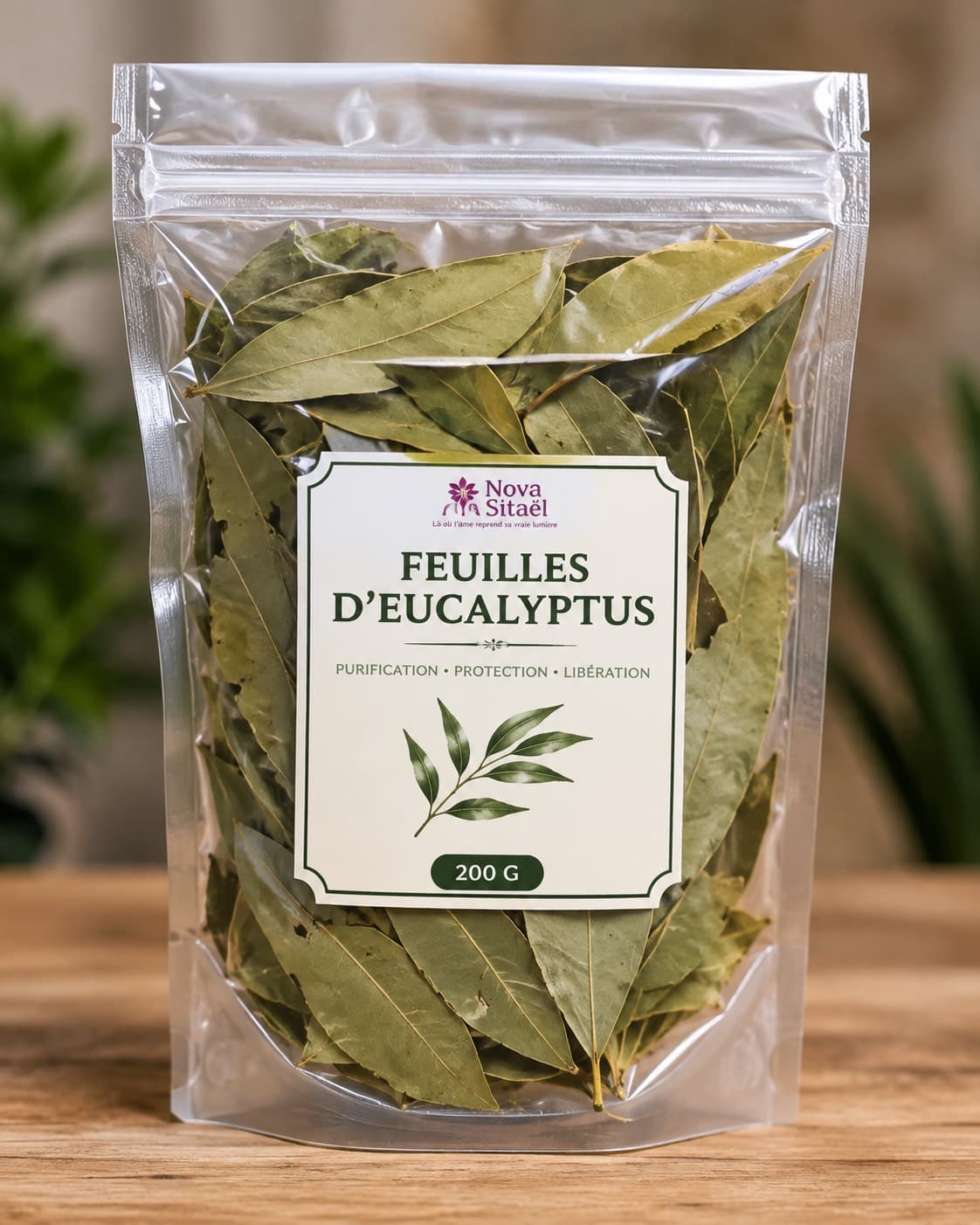 Eucalyptus feuilles 🍃