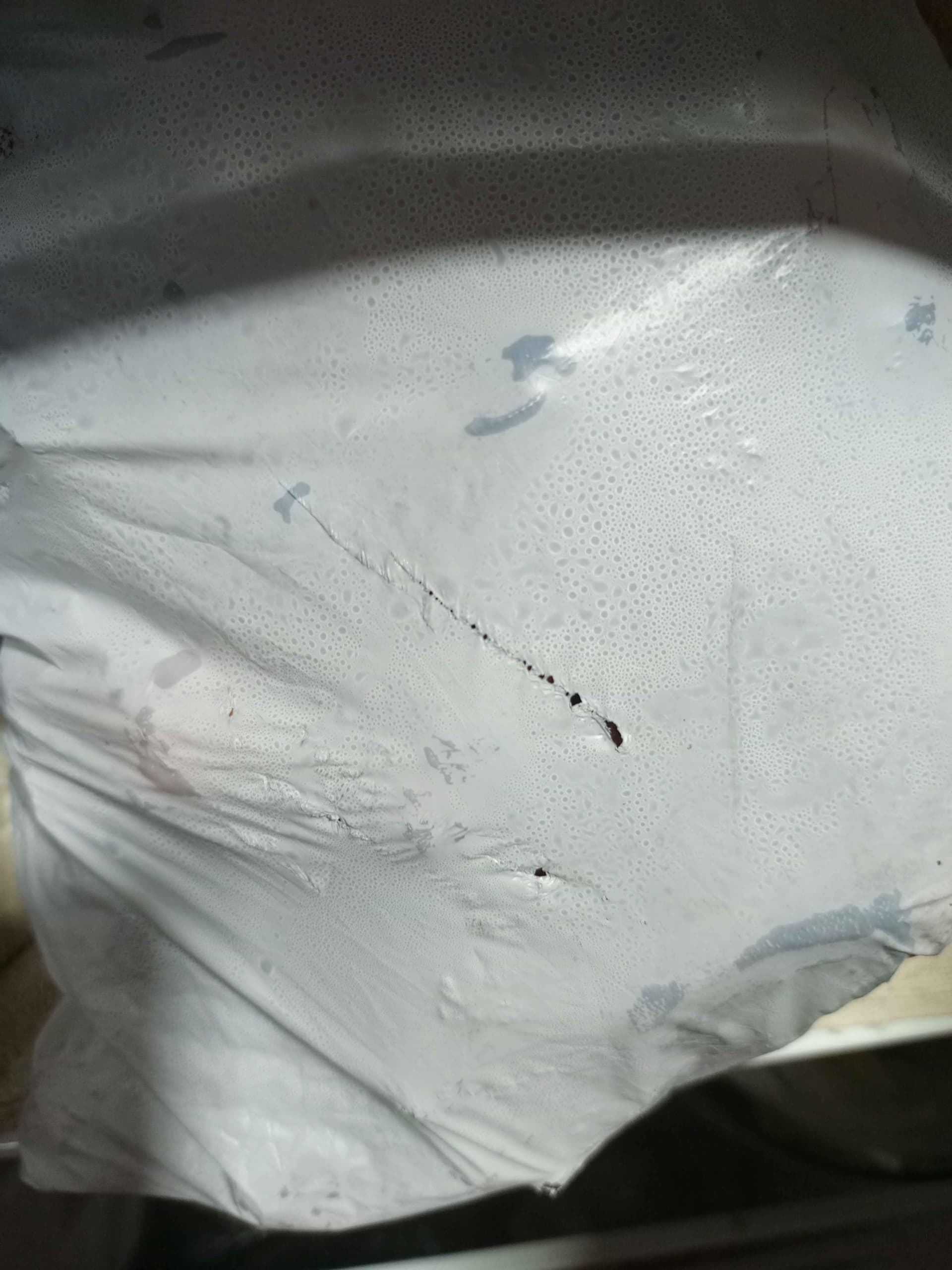 viande fraîche et congelé 3 kg