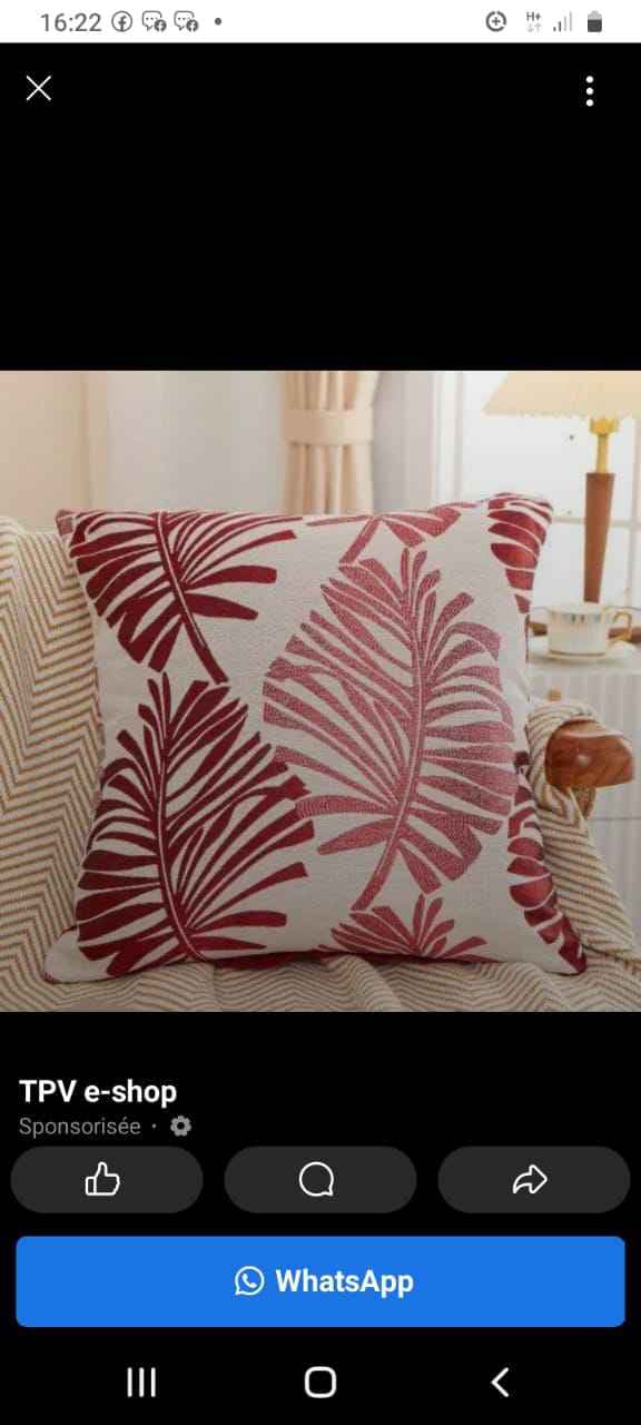 coussin décoratif