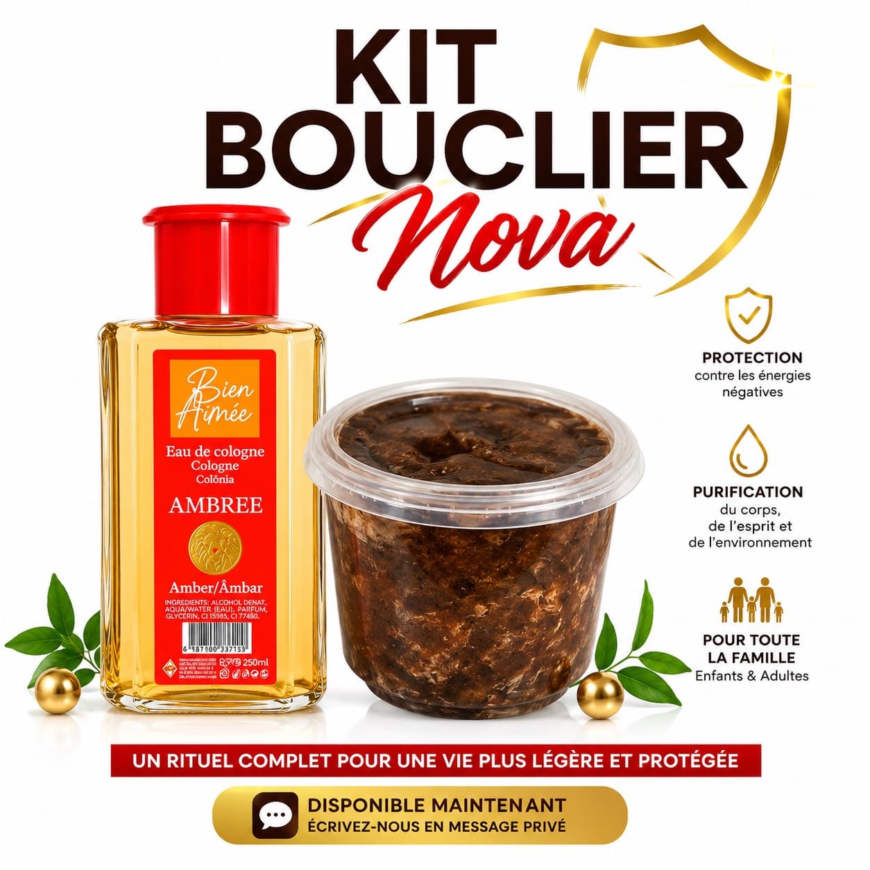 Kit bouclier 🛡️