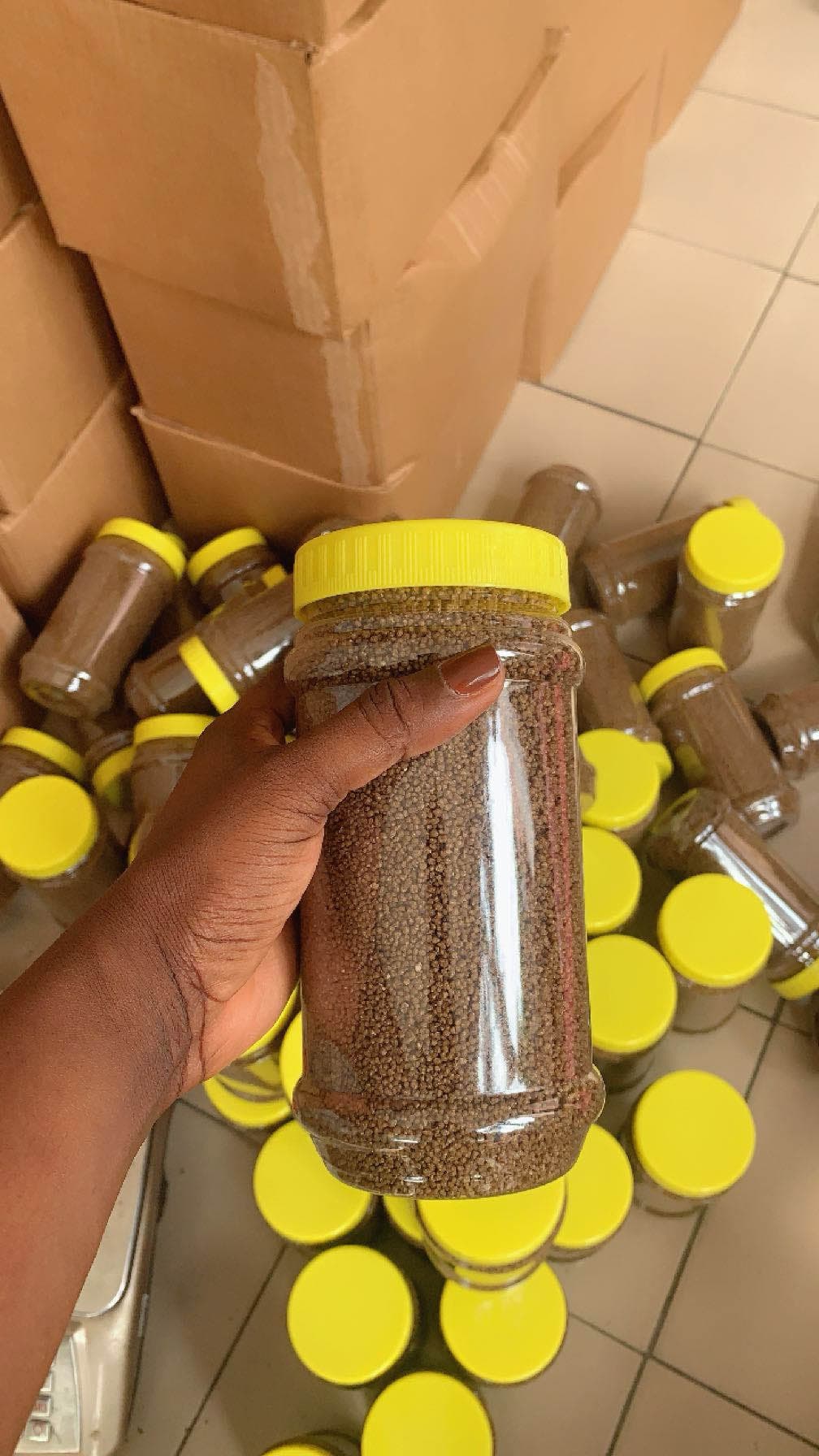 grains de dêguê précuit