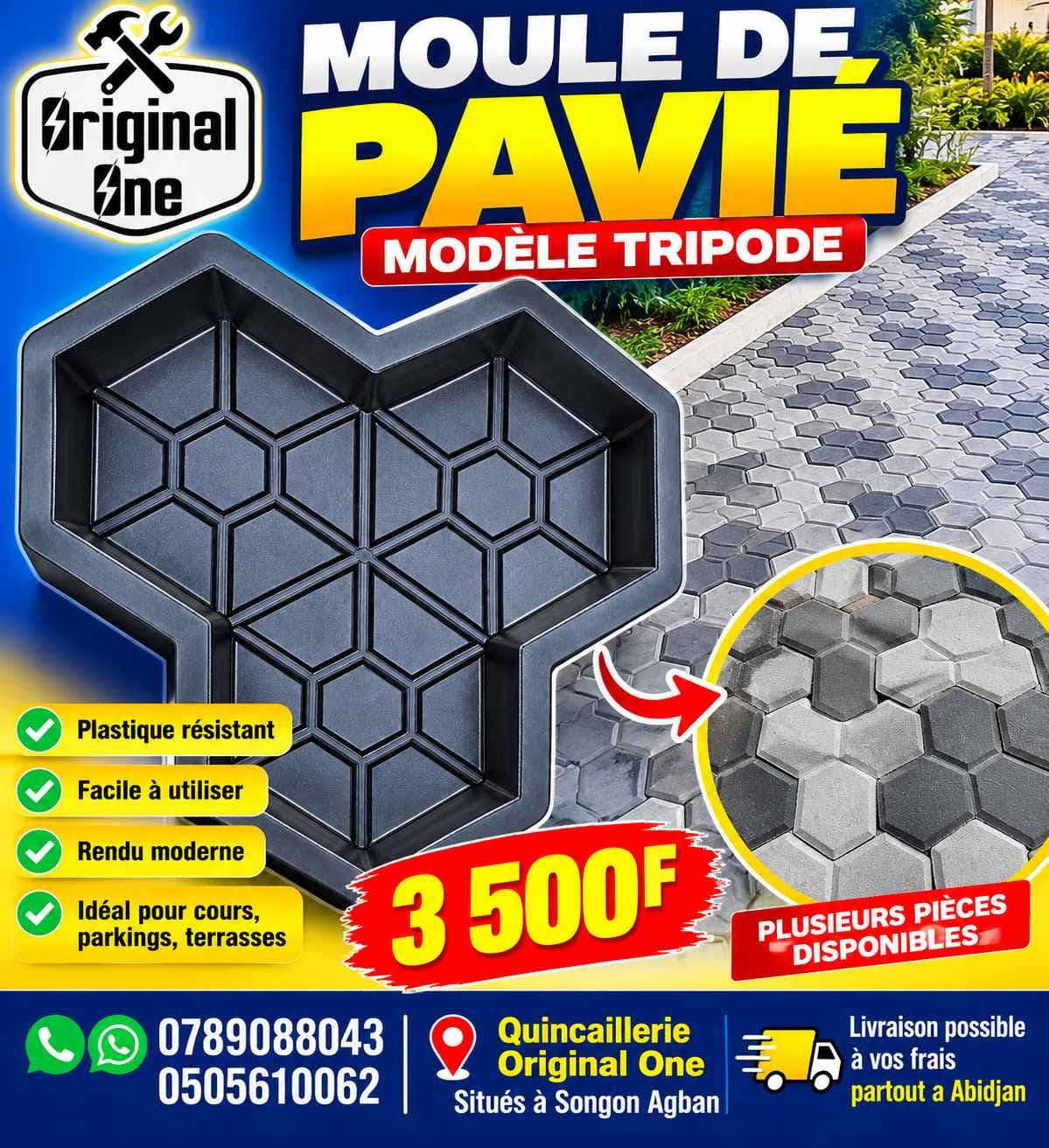 moule de pavié