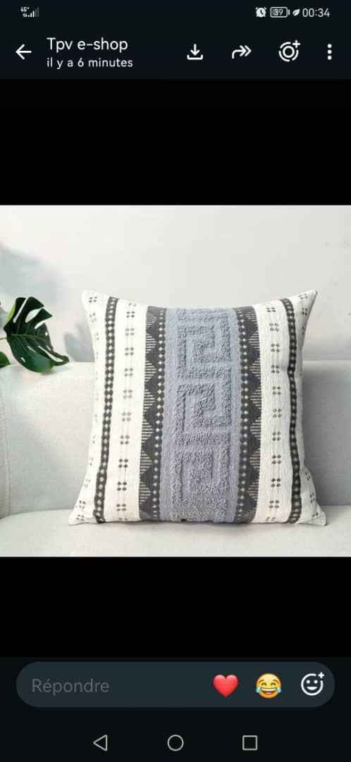 coussin décoratif