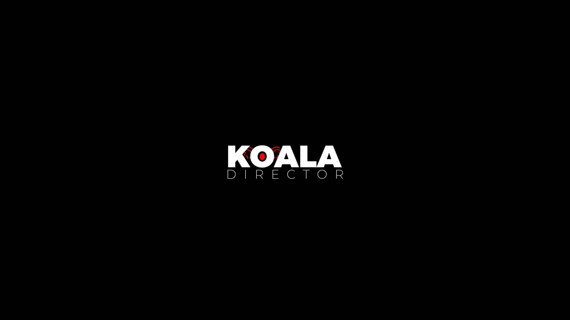 Koala King