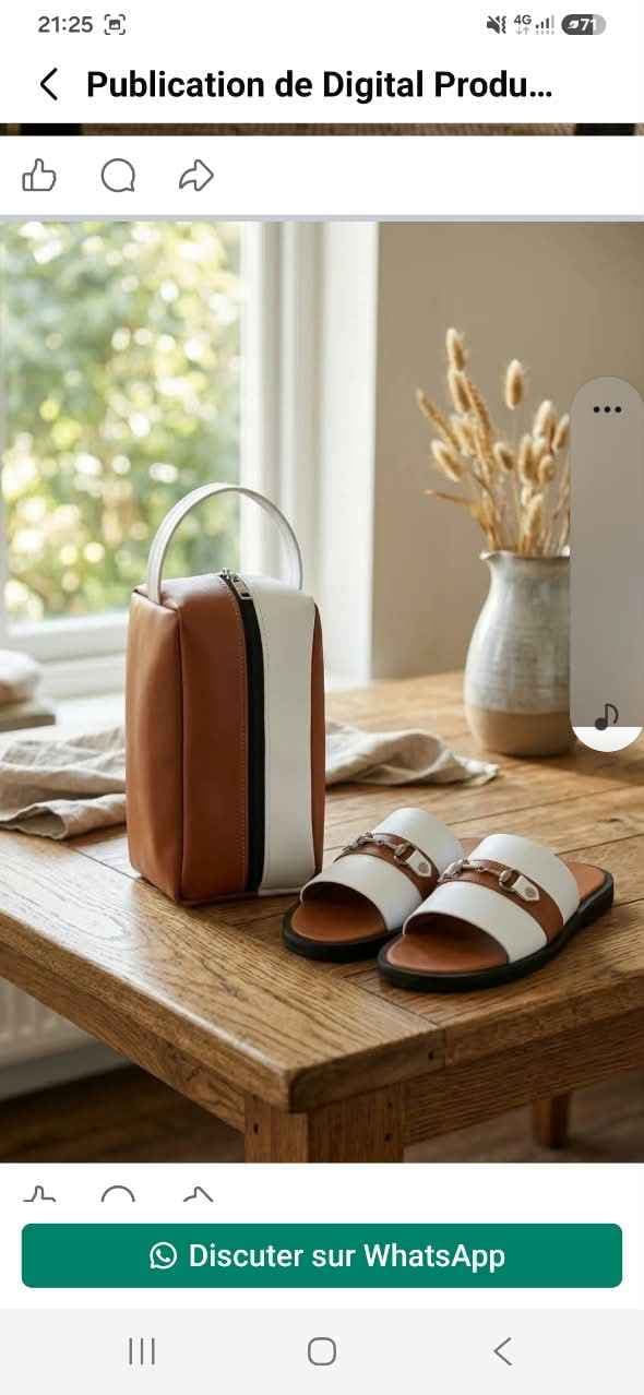 sandale en cuir+sac