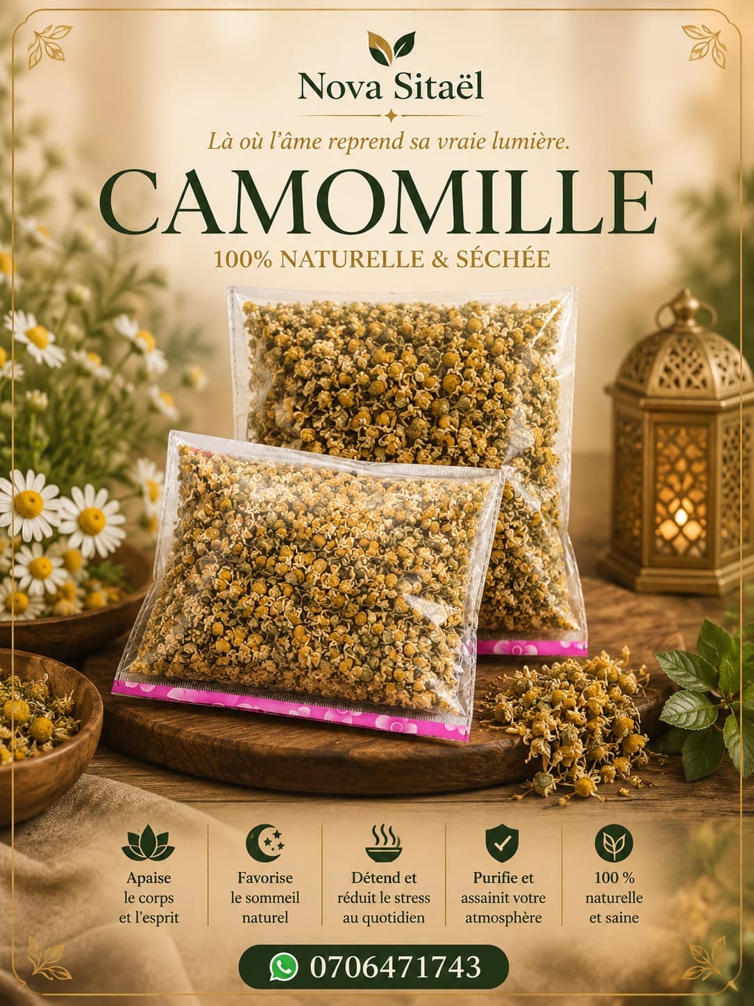 🌼 CAMOMILLE