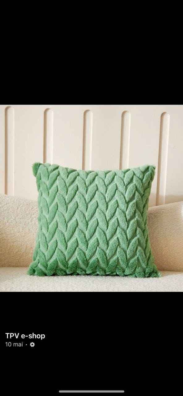 coussin décoratif