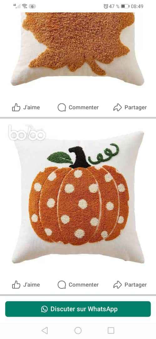 coussin décoratif