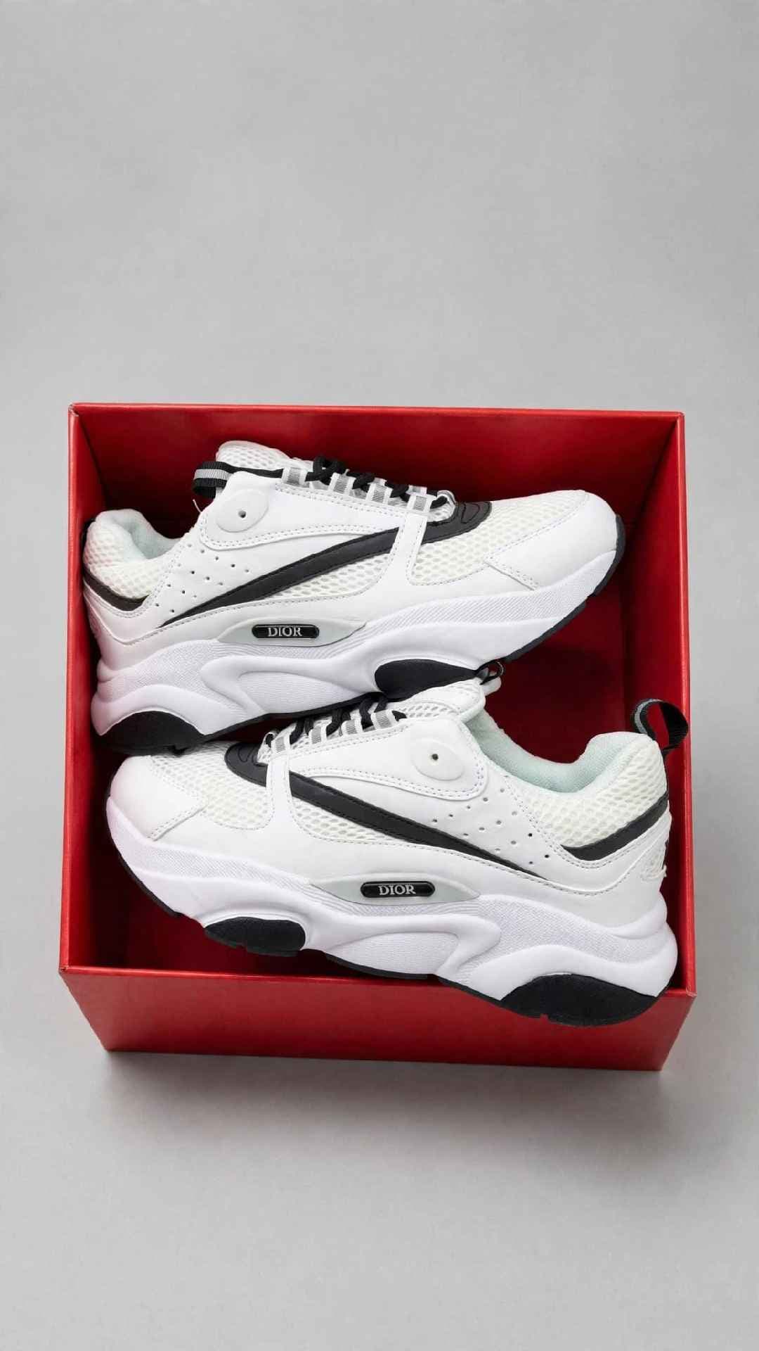 Dior B22