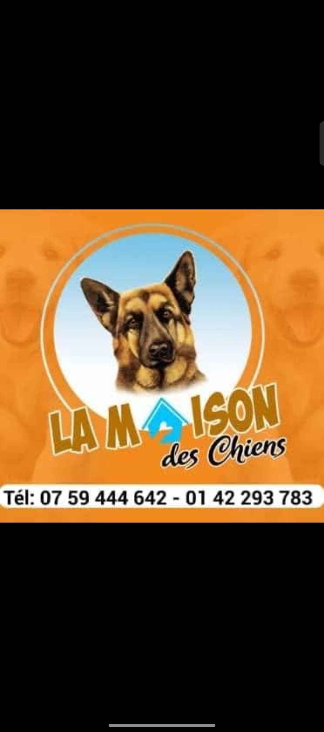 LA MAISON DES CHIENS